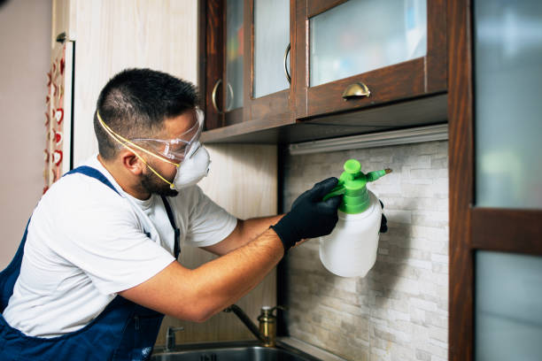 Best Pest Control Near Me in Centerville, OH