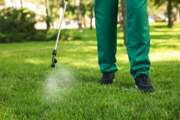 Wasp Removal Services in Centerville, OH