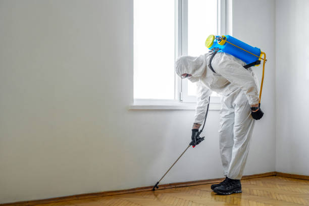 Best Wasp Removal Services  in Centerville, OH