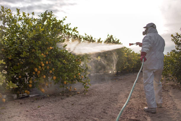 Pest Control Cost in Centerville, OH
