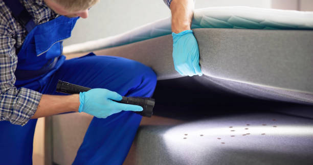 Best Wasp Removal Services  in Centerville, OH