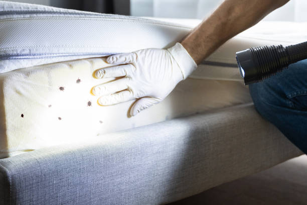 Centerville, OH Pest Control Company